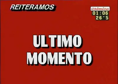 Perro guia tiene perro guia