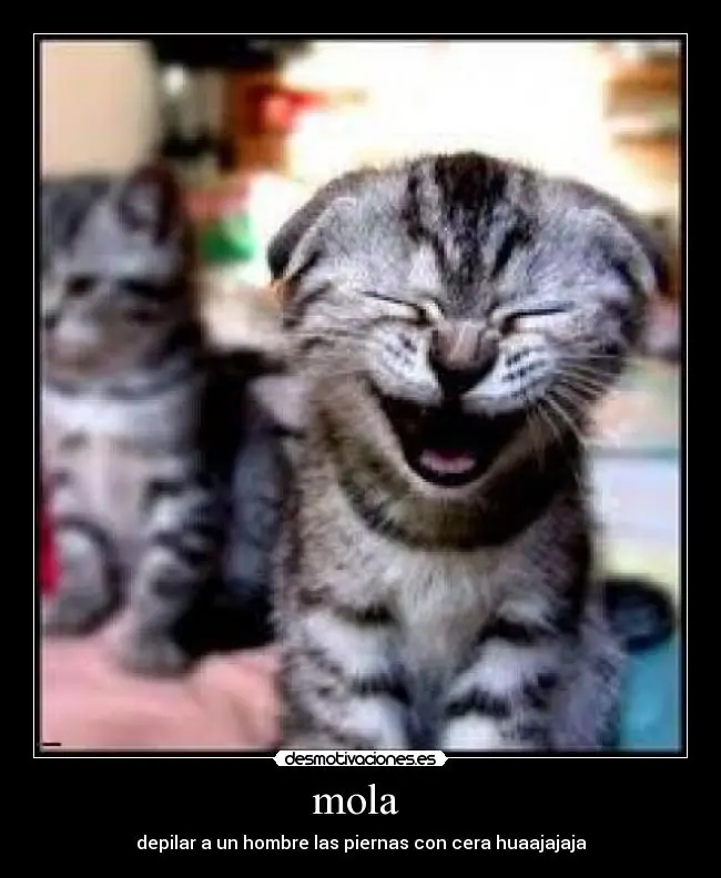 imagenes