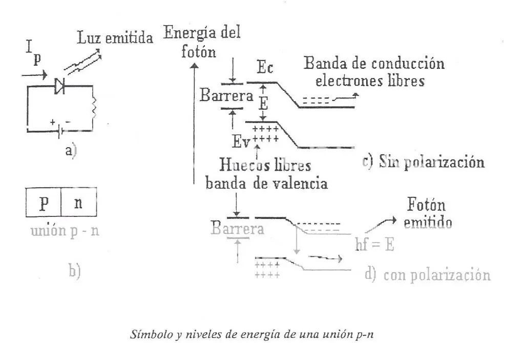Todo lo que debes saber sobre FIBRA OPTICA