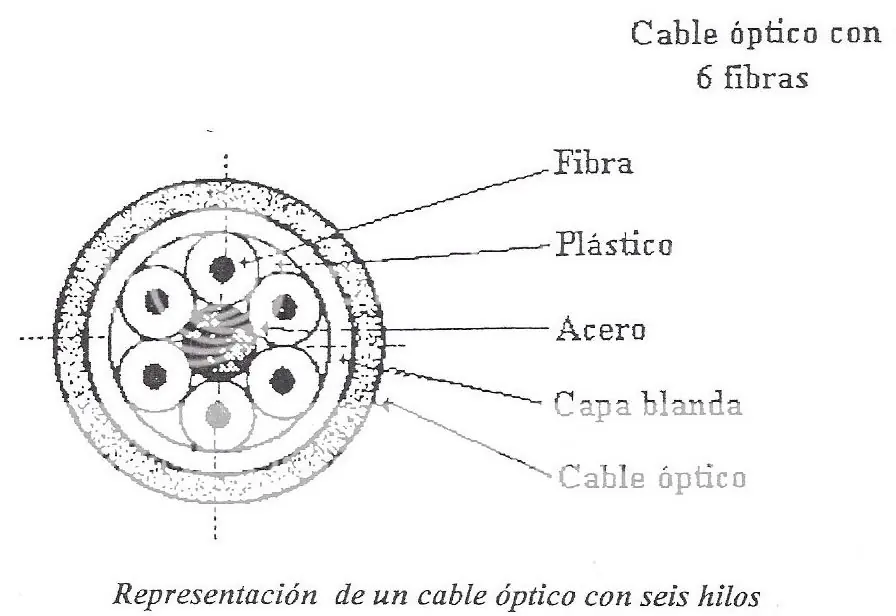 fibra