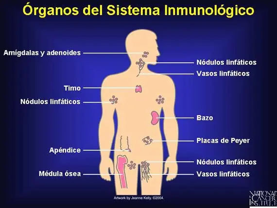 medicina