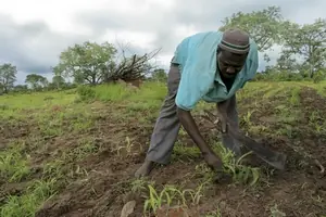 ¿Por qué el hambre en África?