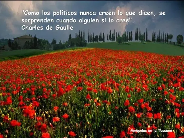 Ladrones