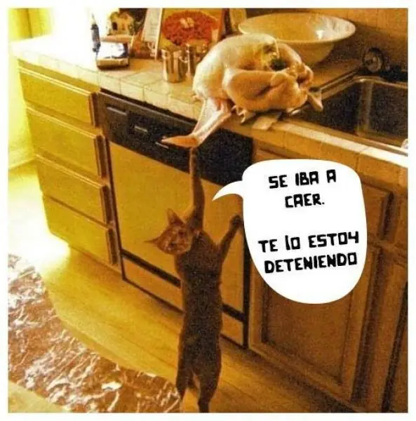 humor