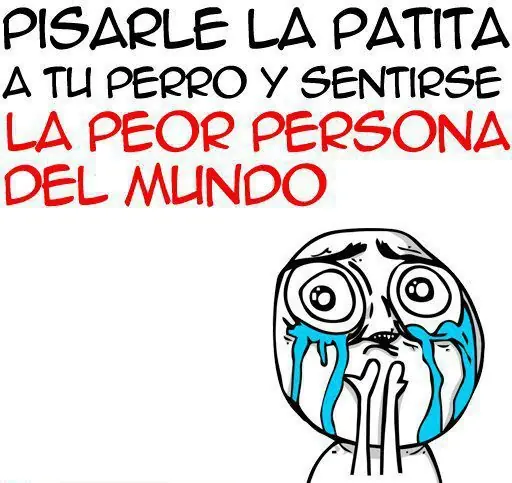 imagenes