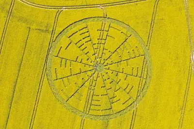 crop