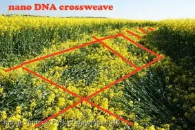 Crop Circle 3(2010)-2(2011)-1(2012)=0