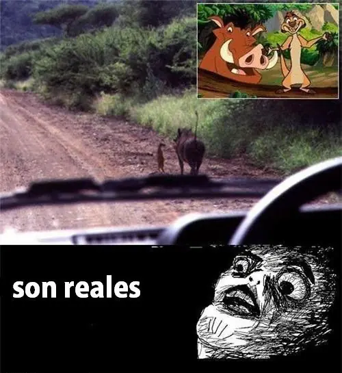 POST NUEVO
