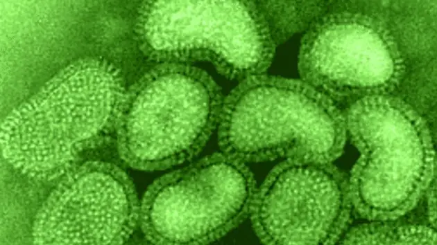 China Descubren 'penicilina virológica' contra la gripe A