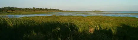 corrientes