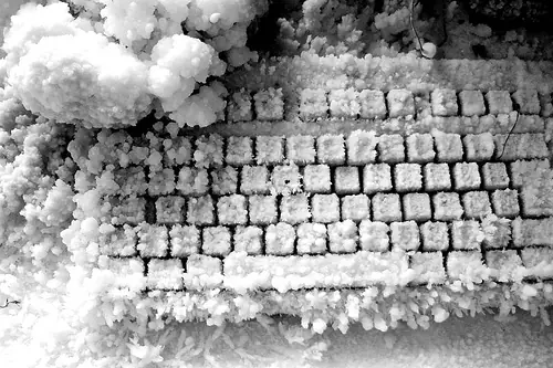 Te explico el final de River Plate