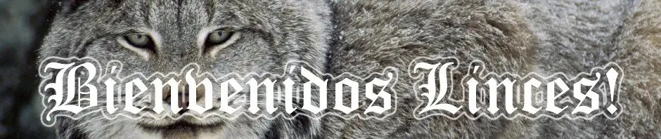 Mira con quien me encontré paseando en Chicago