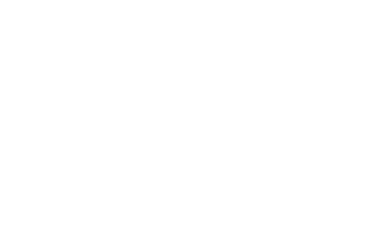 mentira