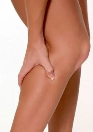 cuerpo