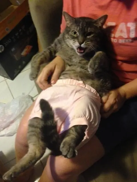 25 razones por las que el verano es el enemigo