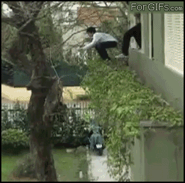 megapost de imagenes