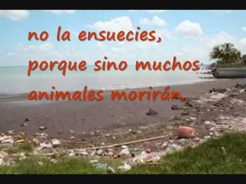 Cuidado del medio ambiente