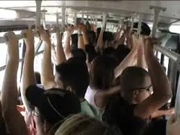 omnibus
