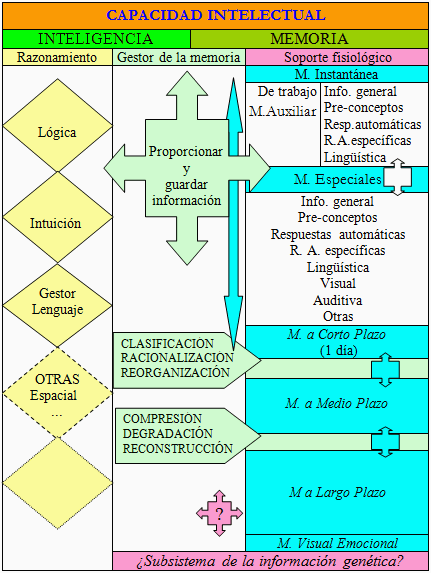 inteligencia