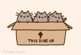Gifs de Pusheen el Gato | parte 2 !!!