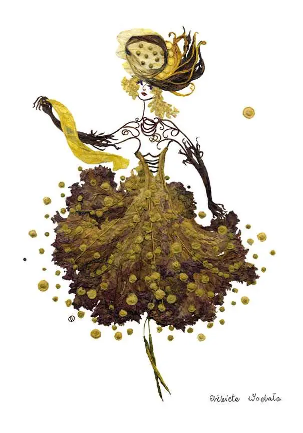 Delicado Arte Con Flores Disecadas