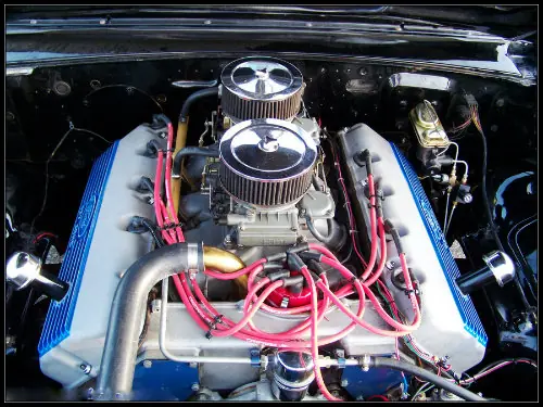 mustang