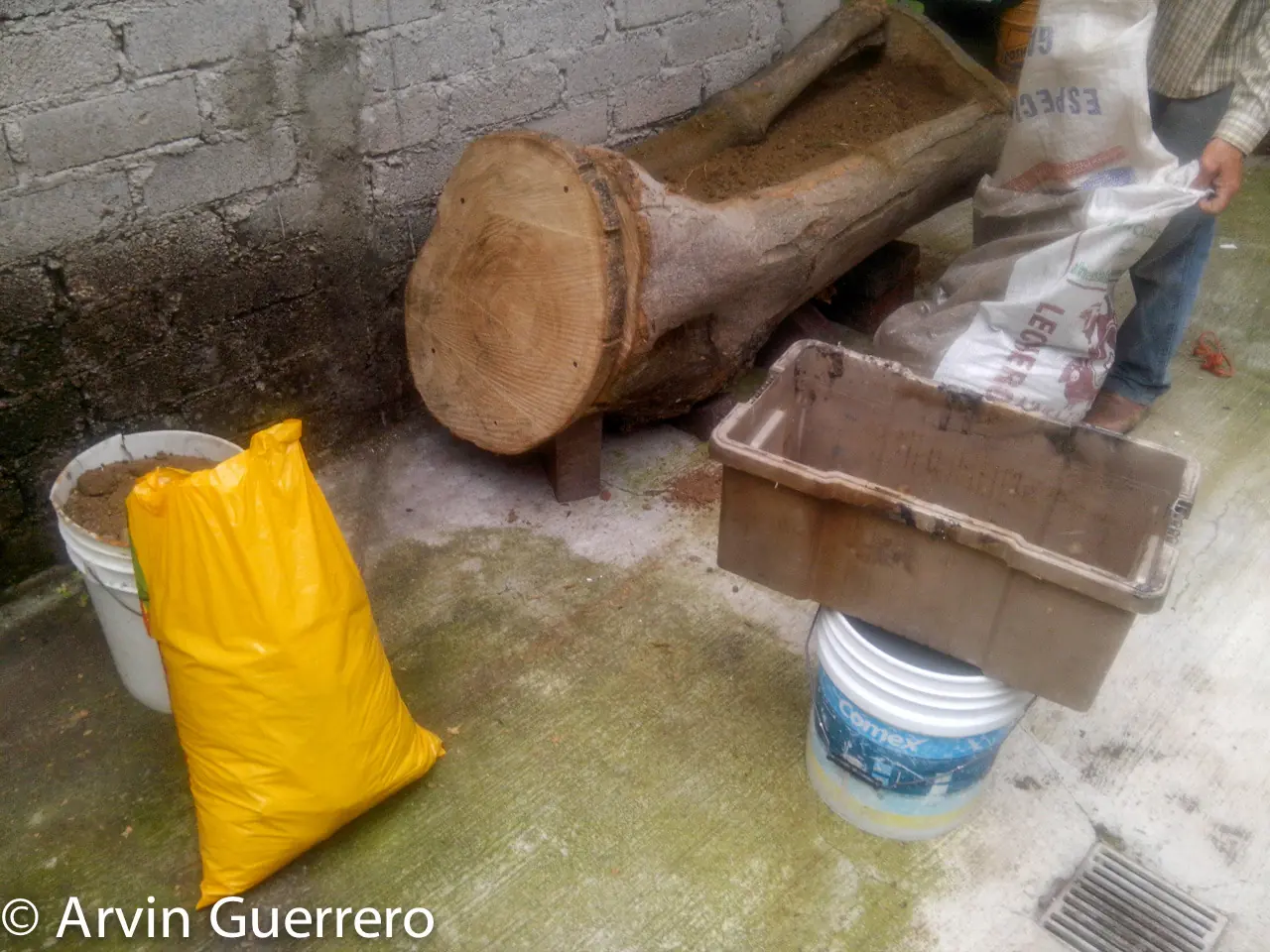 Arbol