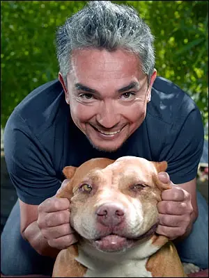 Jackson Galaxy es mejor que Cesar el encantador de perros