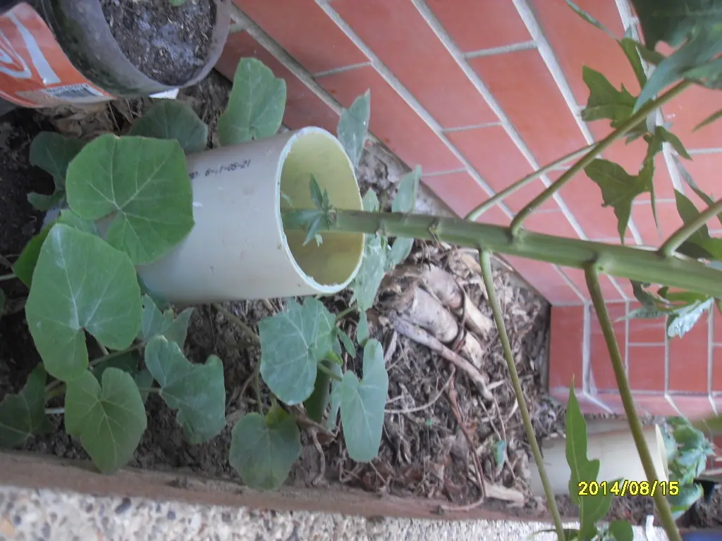 Invente un metodo de siembra en el jardin