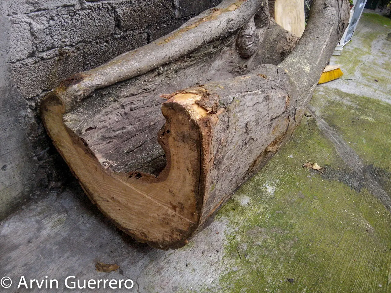 Arbol