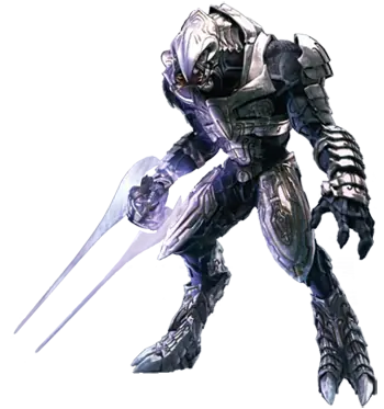 the arbiter