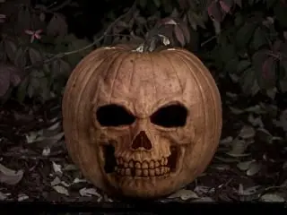 terror