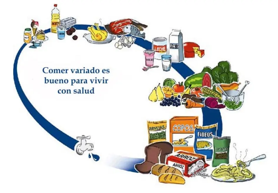 Piramides y Ovalo Nutricional, y la nutricion