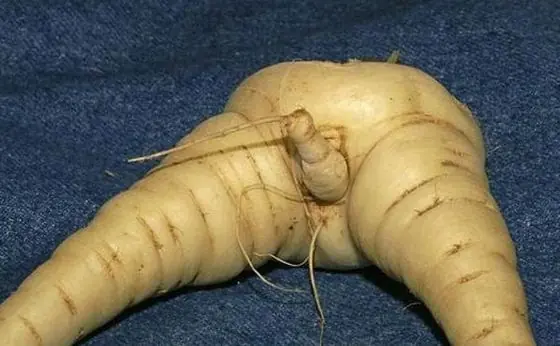 Que tan sucia tenes la mente?