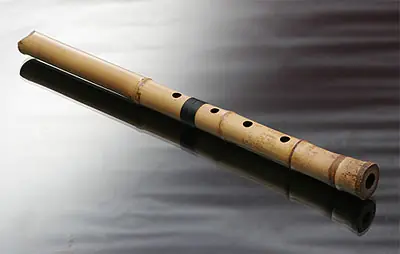 la flauta japonesa y el secreto ninja de iga