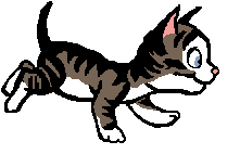 gatitos