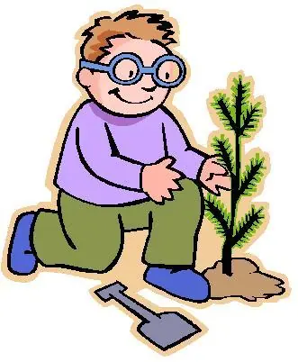 deforestacion