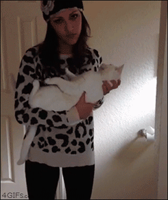 Estos son algúnos Gifs,é Imagenes que posteos en los comen