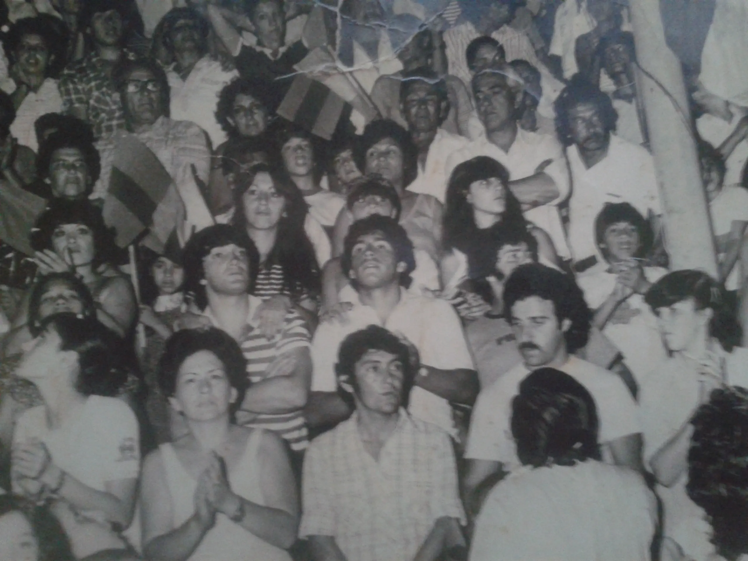 Encontré algo increible y te lo muestro