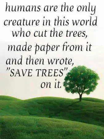 deforestacion