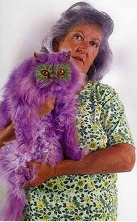 ♥Gatitos Lokitos (2011)♥