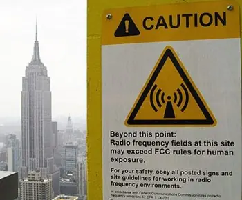 Las Plantas No Crecen Cerca de los Router Wi-Fi