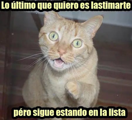 ♥Gatitos Lokitos (2011)♥