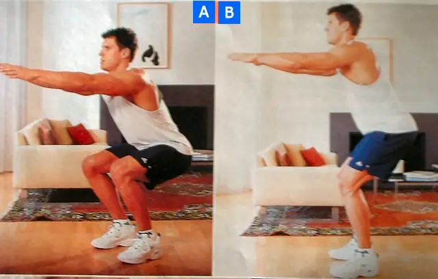 triceps