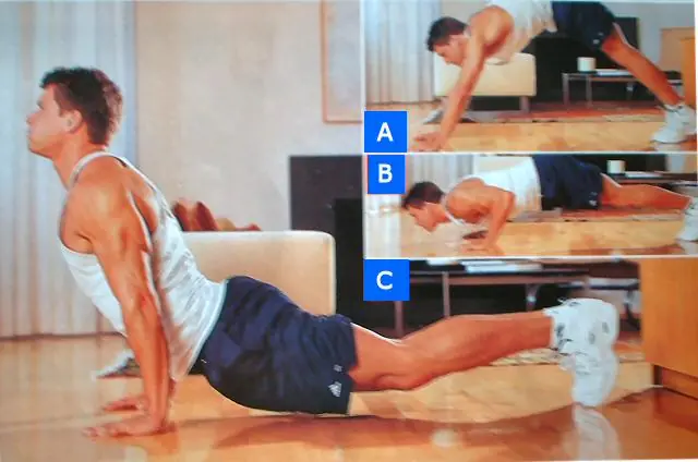 Biceps