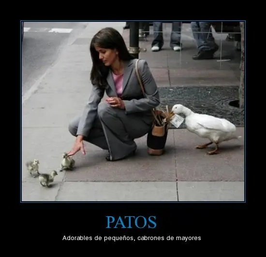 imagenes