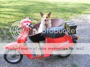 Scooter