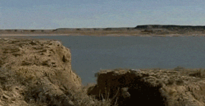 Gifs