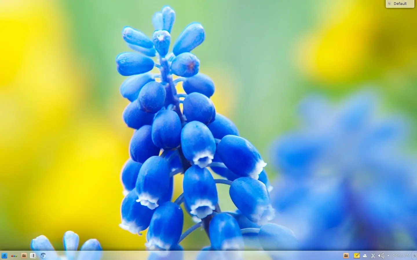 [Desktop] Arch + KDE "Surreal World"