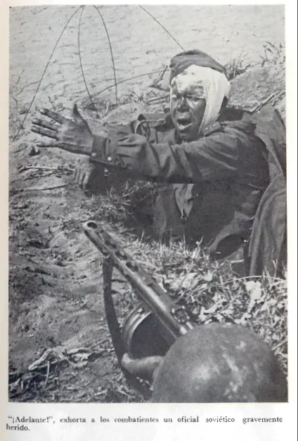Conmovedoras Instantaneas de la segunda guerra